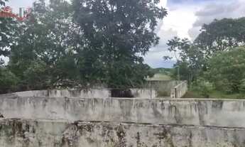 Imagem 5: Fazenda para Venda em Centro Chapada Gaúcha-MG