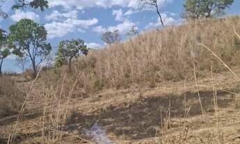 Imagem 7: Fazenda à Venda - 33 Alqueires - Niquelândia - GO