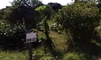 Imagem: Vendo Terrenos Escriturados