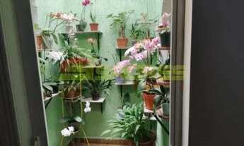 Imagem 4: Casa térrea 270m² na Vila Isolina Mazzei por R$ 920.000,00