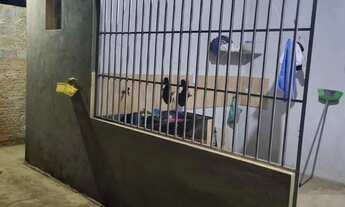 Imagem 6: Vendo casa na Cidade Nova 4/EC