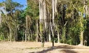 Imagem 7: More ou invista junto à natureza exuberante da ilha!