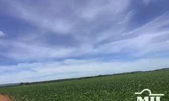Imagem 6: Fazenda Agrícola em Acreúna-GO. 130 Alqueires (629 Hectares)