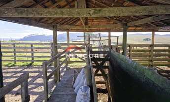 Imagem 5: Sítio em Rua Francisco Barreto - Centro - Capão Bonito/SP