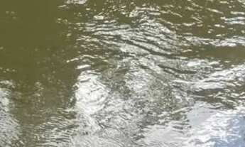 Imagem: Chácara a venda no rio dos bois São Miguel