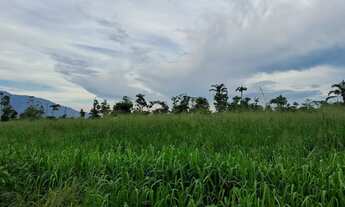 Imagem 2: Fazenda em Campos Novos Iracema