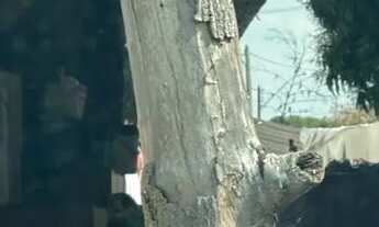 Imagem 2: Lote no setor Villar Baviera .