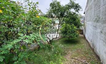 Imagem 5: Terreno com 204 metros localizado no bairro terra nova