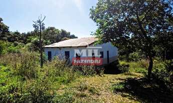 Imagem 7: Fazenda 29 Alqueires (141 hectares) Urutai - Go