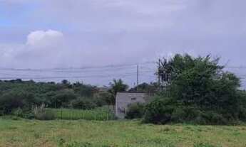 Imagem 7: TERRENO CONCEICAO DO JACUIPE(BERIMBAU) MIL METROS OTIMA LOCALIZACAO 60 mil