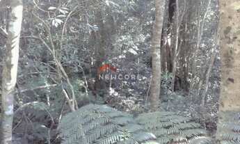 Imagem 5: Lote em Ruas Maracujás - Colinas - São Francisco de Paula/RS