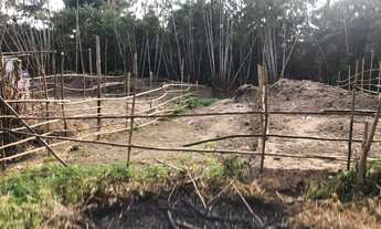 Imagem: Terreno 5 de frete 25 de fundo