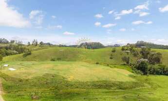 Imagem 3: Maior Fazenda do sul do ES à venda