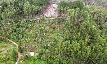 Imagem 4: Seu sítio com casa, córrego e lago, na região de Castelinho, Varge alta