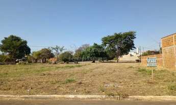 Imagem: Terreno Padrão em Palestina