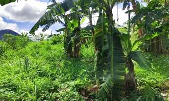 Imagem 3: Venda-se esta chácara de medindo 20x50 totalizando 1.000 M² no Município de Atílio Vivacqu