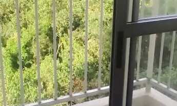 Imagem 4: Apartamento para locação em Jardim Marilu com 2 quartos , 47m²