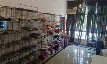 Imagem 6: Sala : / Comercial / Centro