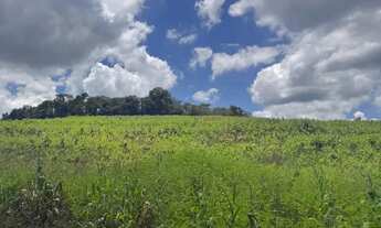 Imagem 2: Ds(lugar perfeito Rodeado pela natureza!!