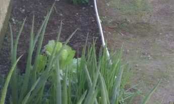 Imagem 6: Casa no quiriri Casa com 2 dormitórios