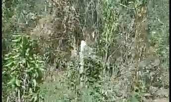 Imagem 3: VENDA Terreno com 1.080m² em ibiuna