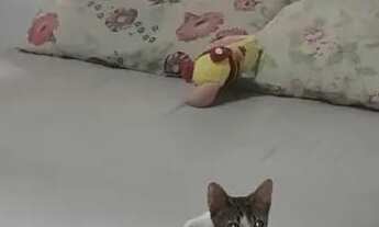 Imagem 4: Casa à venda em Estância Velha com 70 m², 3 quartos, 2 vagas