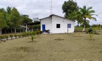 Imagem 4: Chácara no Bom intento, água boa de cima - 28Km