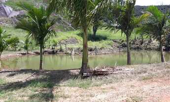 Imagem 2: Sítio lindo perto da BR 262