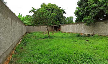 Imagem 3: Terreno 420m² murados sepetiba