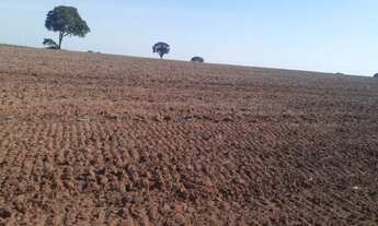 Imagem 6: Fazenda em coceição das alagoas 77 alqueirão 30.000.000.00 ) (jean
