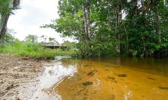 Imagem 2: Vendo Excelente Terreno Ramal do Caniço - KM 21, Manaus