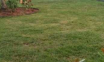 Imagem 6: Apartamento 02 quartos 1 VAGA - Jd. Vila Formosa - São Paulo - a aprtir SP 275.000,00