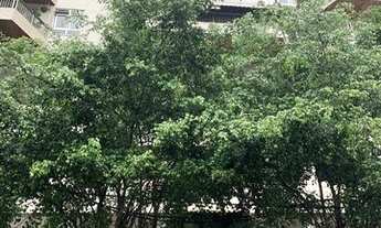 Imagem 4: Rio de Janeiro - Apartamento Padrão - Freguesia de Jacarepaguá