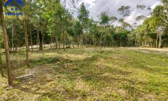 Imagem 5: Chácara com 2 dormitórios à venda, 6600 m² por R$ 285.000,00 - Rio Abaixo - Campina Grande