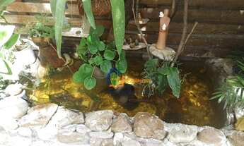 Imagem 4: Casa à venda, 124 m² por R$ 545.000,00 - Limão - São Paulo/SP