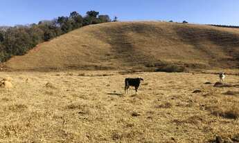 Imagem 3: Vende-se sítio Chácara com venda por R$290.000