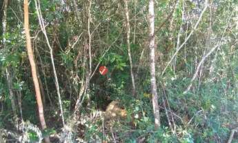 Imagem 7: Nova Lima - Loteamento/Condomínio - Cond. Arvoredo