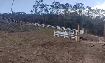 Imagem 6: Excelente Chácara de 5.600 m² na região de Delfim Moreira- Sul de Minas Gerais