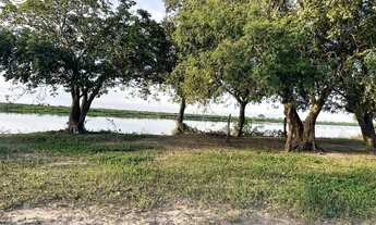 Imagem 2: FAZENDA Á VENDA EM CORUMBÁ - MS - 7.976,21 HECTARES - (PECUÁRIA