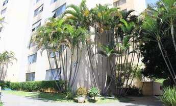 Imagem 5: Apartamento para venda 49 metros quadrados com 2 quartos no Jaguaré - São Paulo - SP