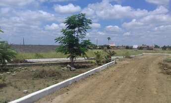 Imagem 4: Loteamento Sapeaçu Ville, lotes frente Rodoviária, 350 m² escriturado, com infraestrutura