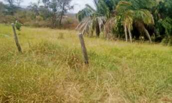 Imagem 3: Vende-se Fazenda: Posto Gil (Terra de Cultura