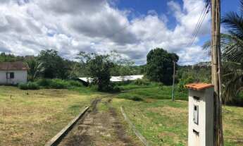 Imagem: VENDO SÍTIO NA BR174- KM16