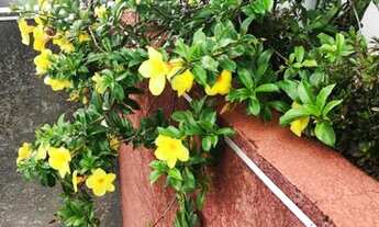 Imagem 7: Vendo linda Cobertura Duplex com 165m2 no Jd América, 5 dorms, 3 vgs, depósito, piscina c