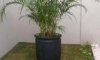 Imagem 7: Studio com 1 dormitório à venda, 33 m² por R$ 175.000,00 - Vila Esperança - São Paulo/SP