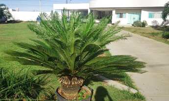 Imagem 3: Brasília - Casa Padrão - Setor Habitacional Jardim Botânico