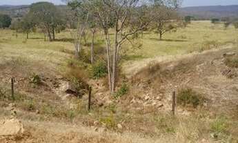 Imagem 7: Vende-se Fazenda: Posto Gil (Terra de Cultura