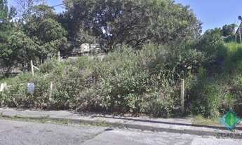 Imagem 3: FLORIANóPOLIS - Terreno Padrão - João Paulo