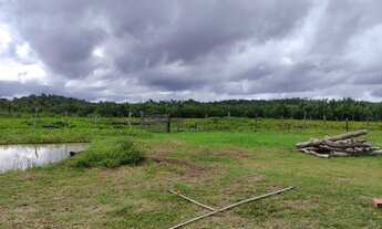 Imagem 4: Vendo excelente fazenda em aldeias-MA