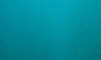 Imagem 3: Alugo uma casa Casa com 2 dormitórios